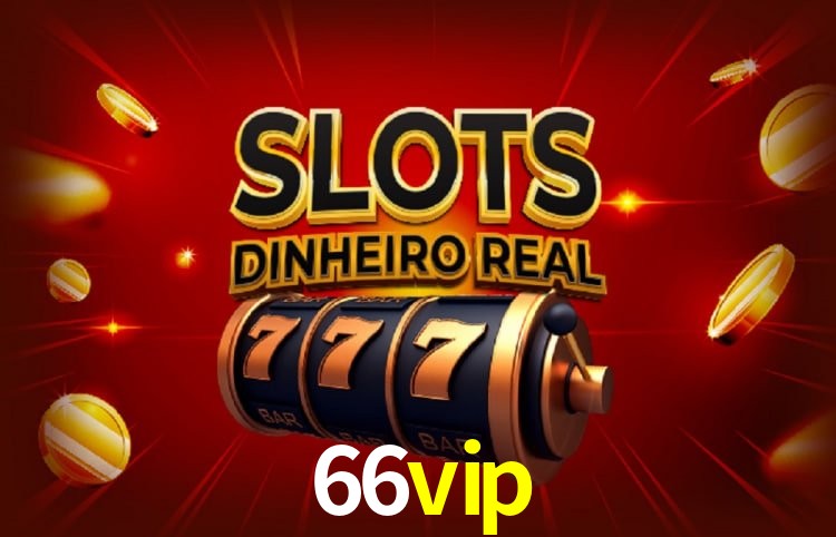 66vip Salvador - Support